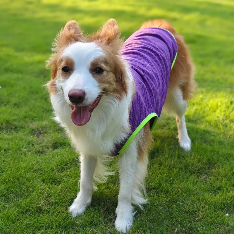 

Suspender Vest for Media Large Dogs Summer Clothes Dog Cooling Vest T Shirt for Husky Labrador Golden Retriever Border Collie