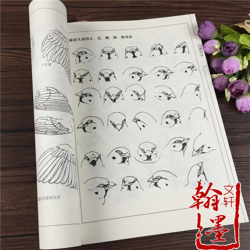 2022 New 94 Pages Birds Painting Collection Art Book Coloring Book Coloring Book for Adults Kids By ManLiang Wang Copybook Album