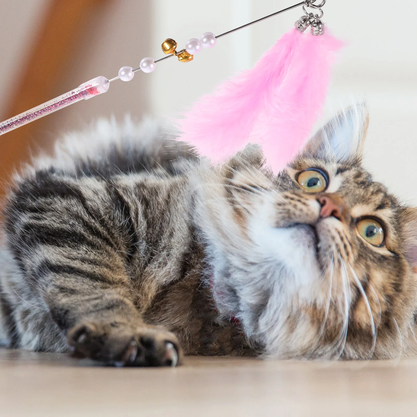 

Toy Teaser Pink Pet Supplies Cat Fringe Teaser Kitten Interactive Toys Kitten Pet Supplies Toys