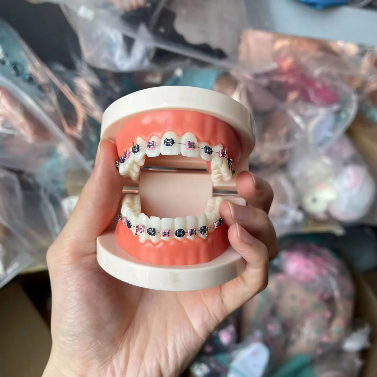 Adult Orthodontic Teeth Model Dental Teaching Tool Drop Shipping