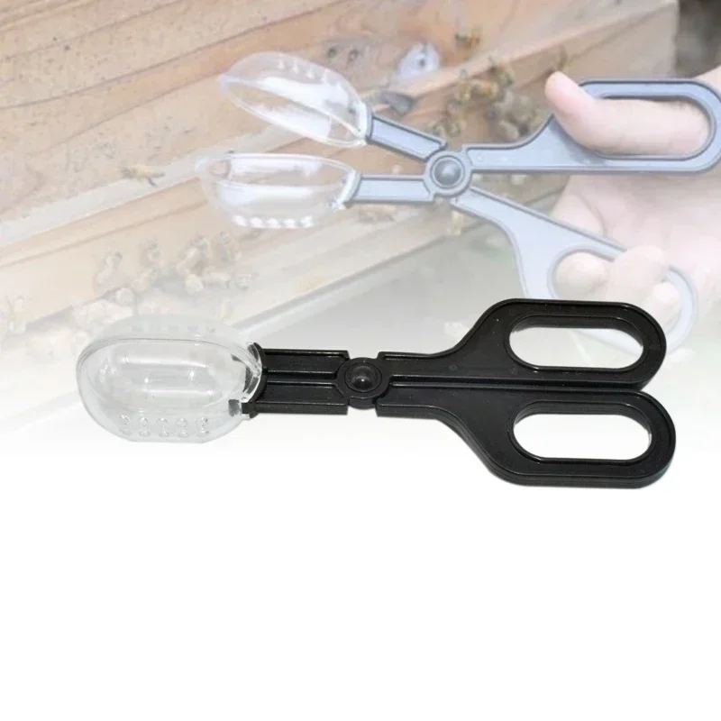 Portable Insect Catcher Scissor Queen Bee Catching Clip Bee Queen Transfering Tool Beekeeping Apiculture Isolation Cage Room