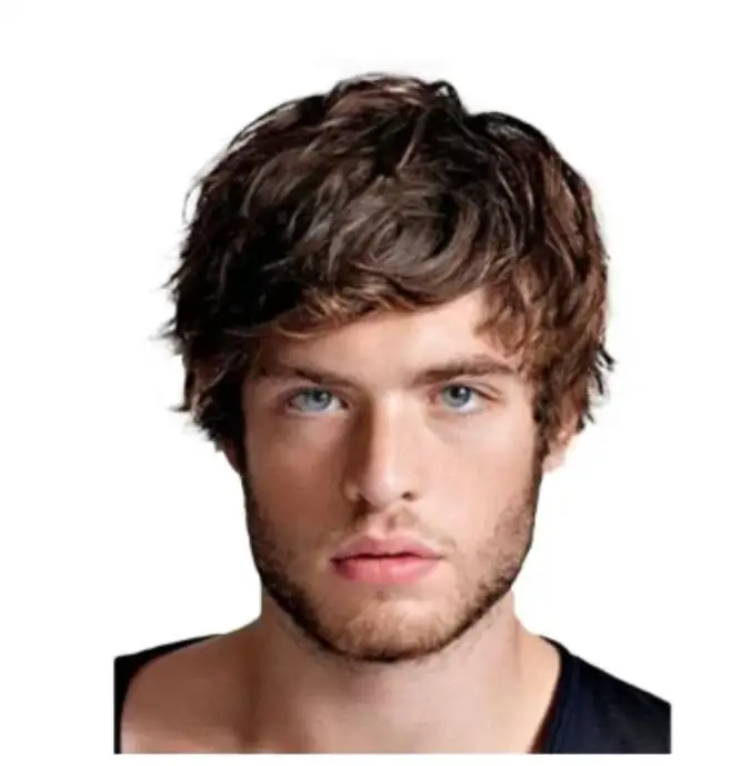 Men's Short Brown Wig Synthetic Hair Smooth Natural  Cut Toupee Straight Heat Resistant Wigs For Male Men