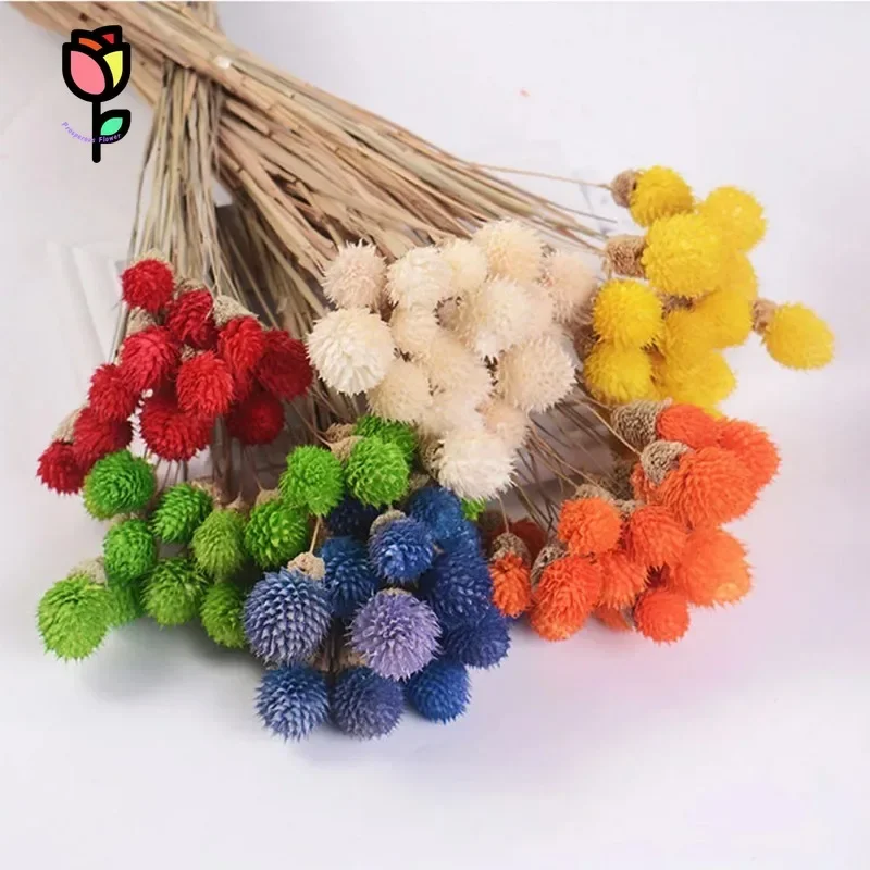 

Natural Dried Flowers Colorful Strawberry Fruit Bouquet Nordic Home Wedding Decor Artificial Flower Pampas Party Room Decoration