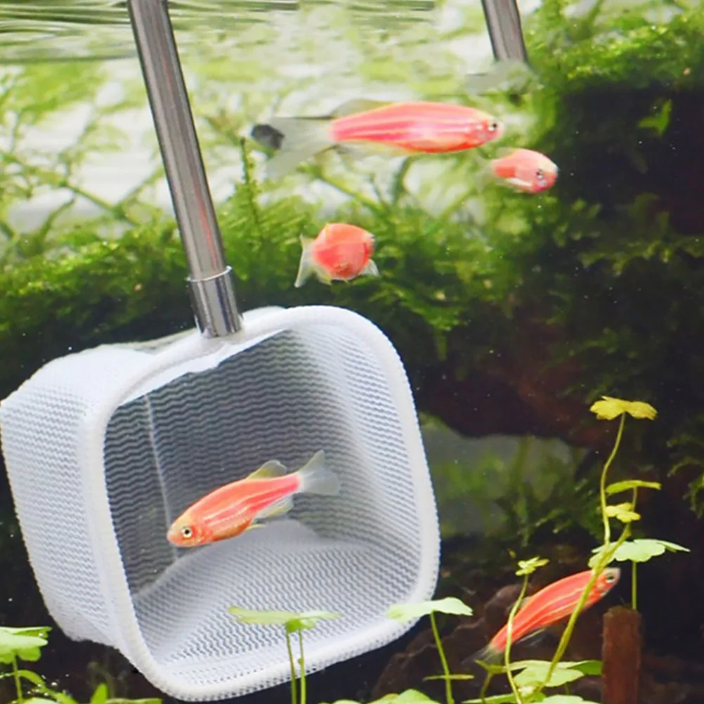 

2 шт. телескопическая сетка для креветок из нержавеющей стали, нейлон, безопасный, прочный для аквариума, мини-размера, настенный подвесной светильник