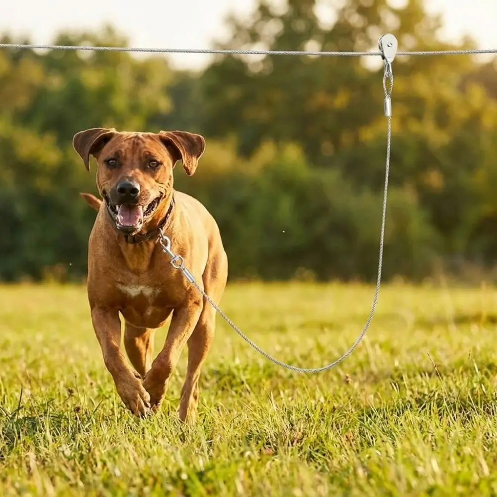 15/30M Outdoor Dog Tie Out Cable Metal Buckle Anti Rust Trolley Dog Run Cable System Kit Chew Proof Wear Resistant