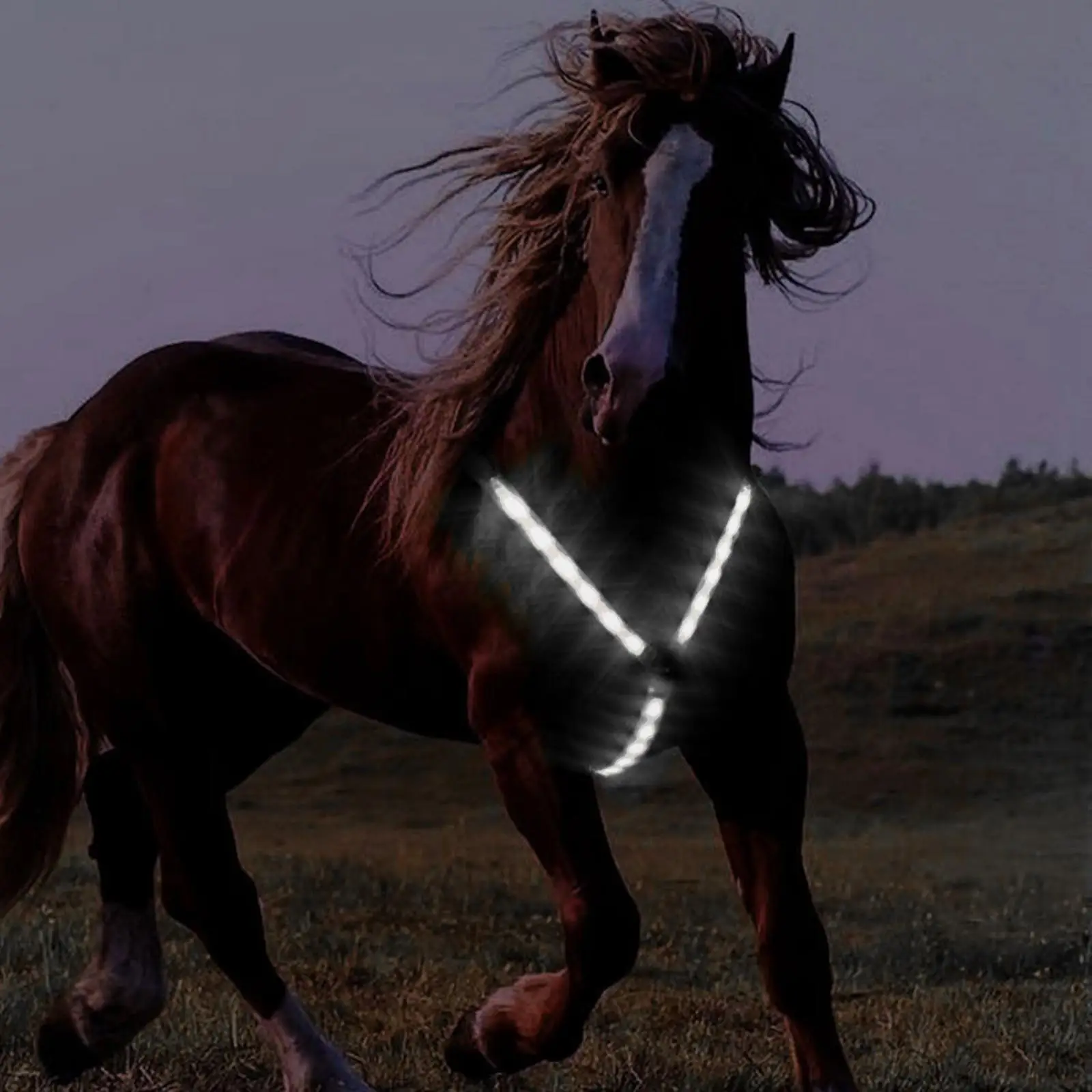 Adjustable LED Horse Breastplate Collar High Visible Outdoor Harness