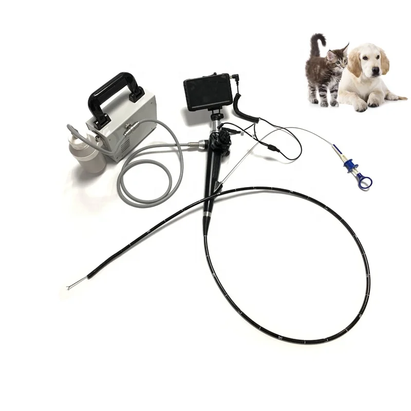 Tragbare Tierarzt Digitale Video HNO Endoskopie Veterinär Flexible Video Endoskop Hund Gastro Endoskop Kamera System Mit Mini Pumpe