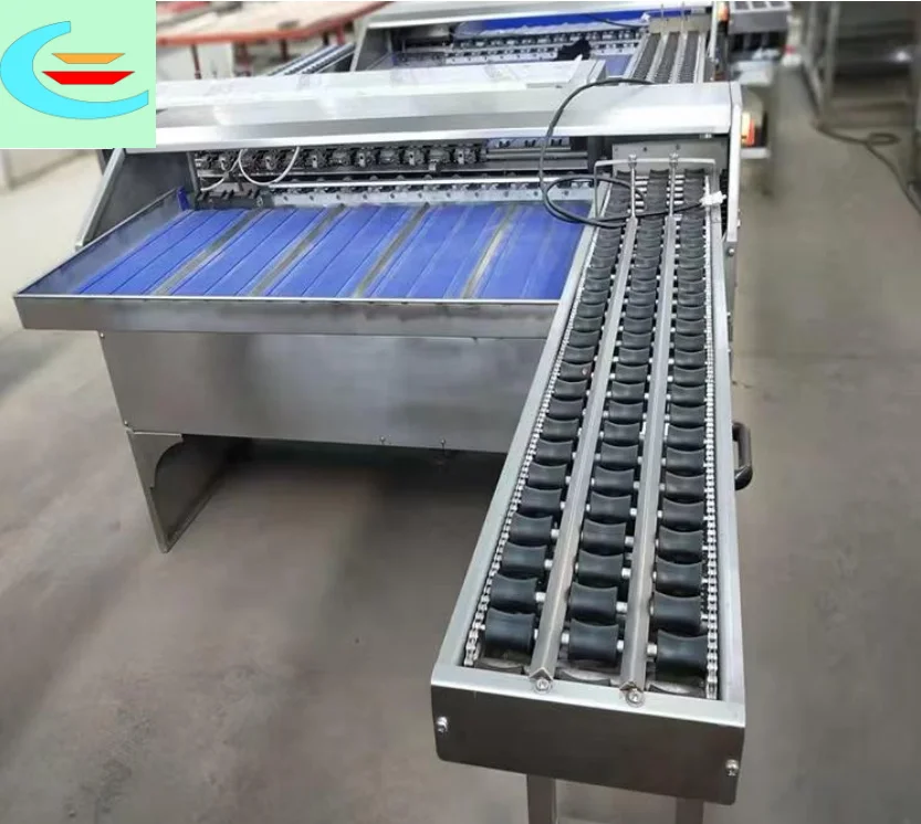 Electronic Scales Automatic  Detection and Sorting Size Sorters  Grading Machines/Classification Based on  Weight