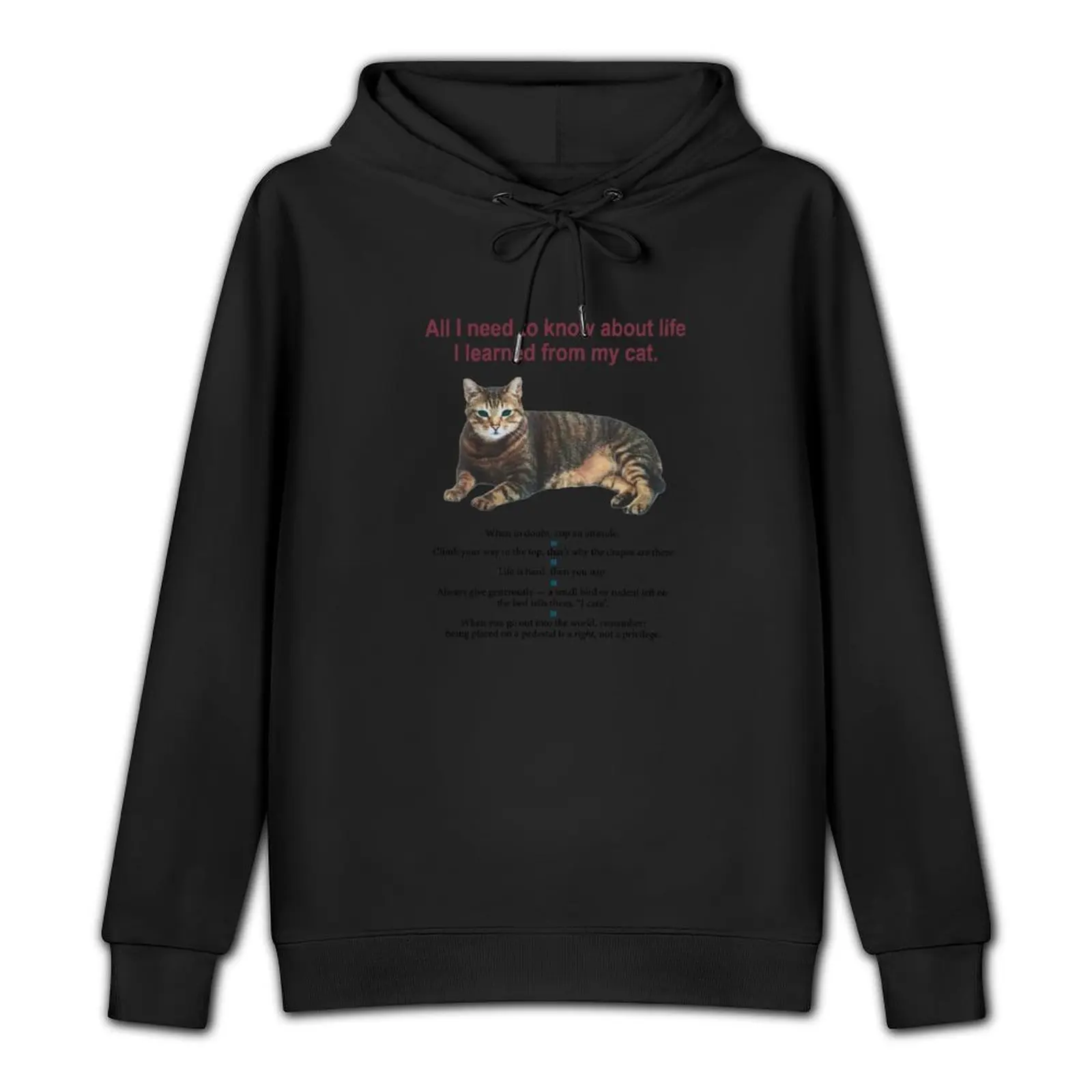 All I need to know about life I learned from my cat Pullover Hoodie men's sweat-shirt autumn new products pullover hoodies