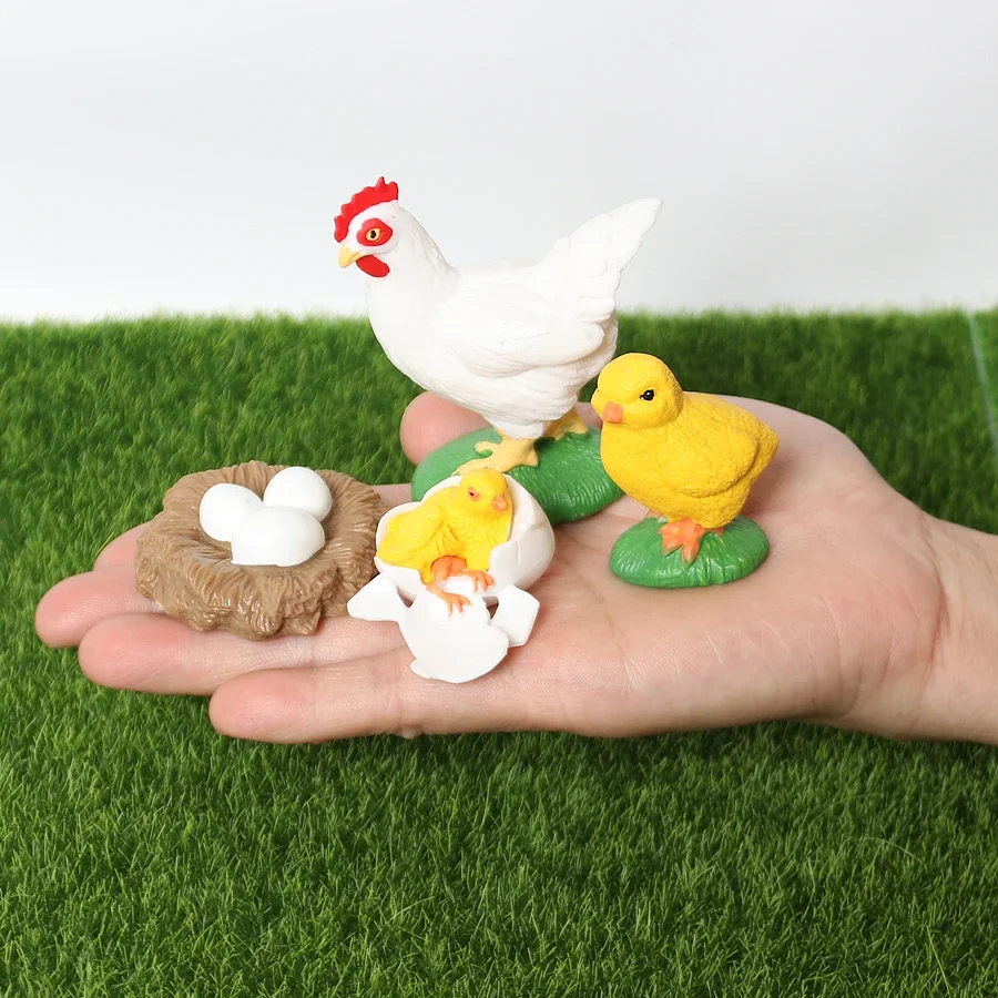 Simulation Poultry Animals Model Figurines The Life Cycle of A Chicken,Rooster,Goose Models Action Figures Educational Toys