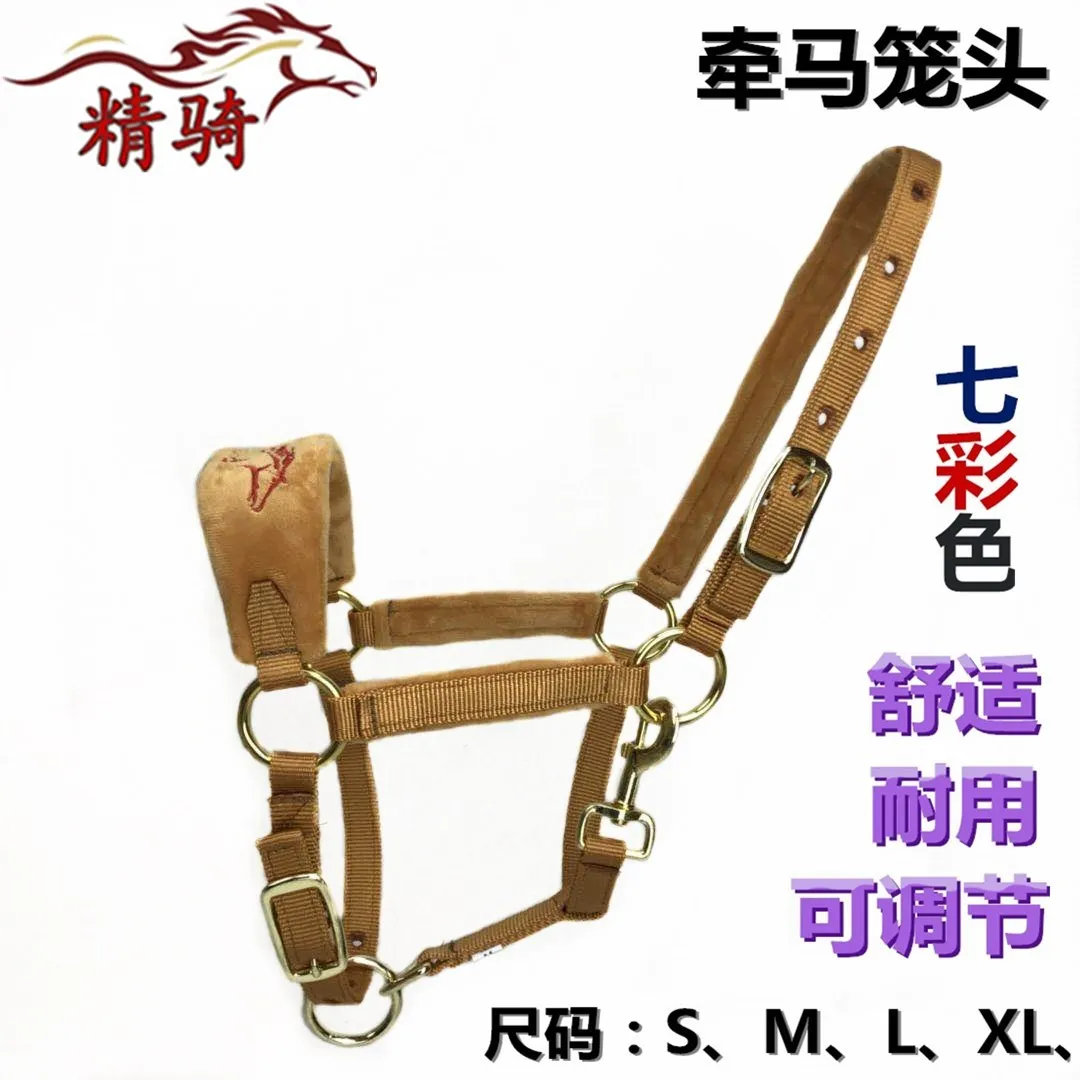 Horse Bridle Color Lead Horse Training Bridle Size Pony Faucet Bit Fine Equestrian Traction Rope Supplies