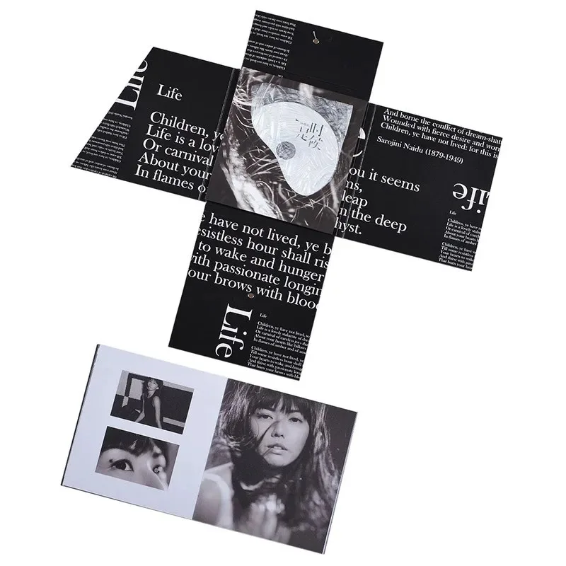 Рисунок 3 - Альбом Sun Yanzi It's Time 2011