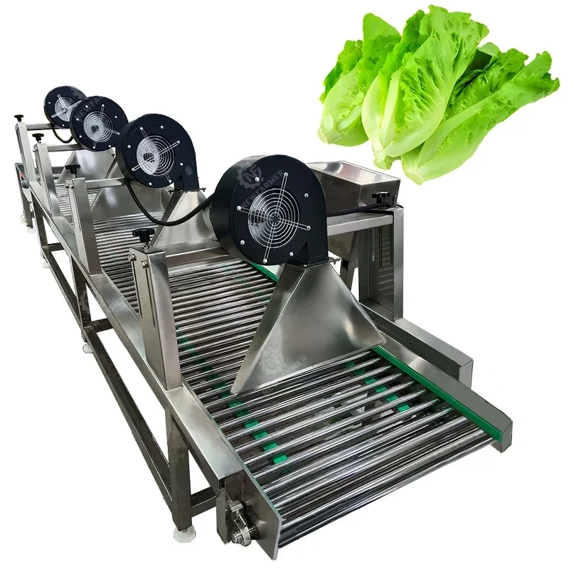 Stainless Steel Vegetable And Fruit Air Drying Equipment Fruit Vegetable Wind Dryer Air Flow Drying Machine
