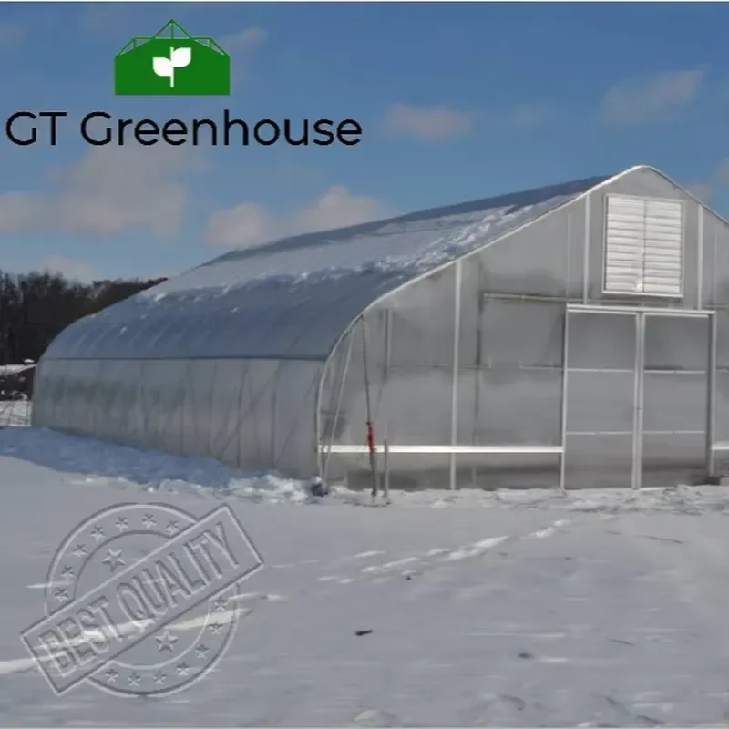 Winter Performance Single-Span Greenhouse Hot Sale.