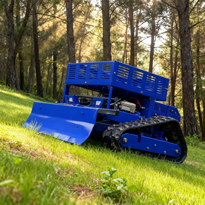 Customized Remote C… - image