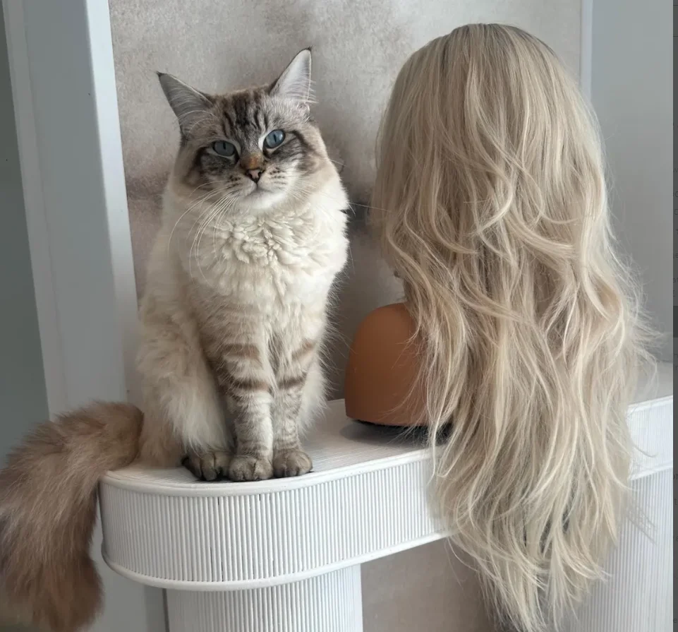 

Ombre White Blonde 180 Density Wig Body Wave Lace Frontal 13x4 HD Pre Plucked Synthetic Wigs for Daily Party Use