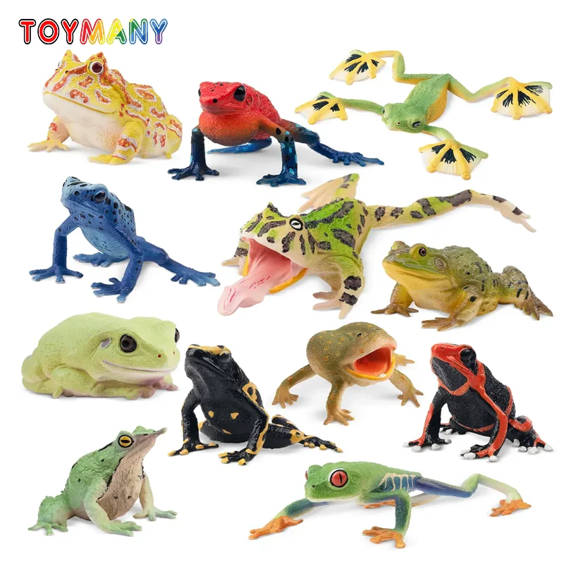 12Pcs Simulation Frog Reptile Animals Model Toy Mini Frogs Figures Dolls Action Figurines Toys Children Set Gift Cake Decoration