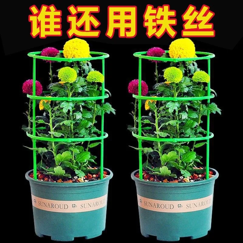 Plant Support Stakes, Gardening Climbing Vine Support Frame, Indoor Balcony Outdoor Fixing Bracket for Dill & Christmas Cactus