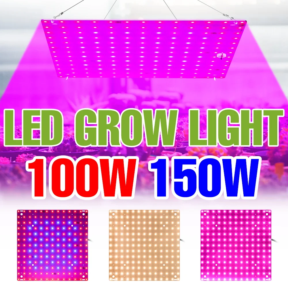 

150W Full Spectrum Plant Light LED Quantum Board Indoor Grow Lamps Greenhouse Tent Fruit Flower Seeds Vegs Cultivation Lighting