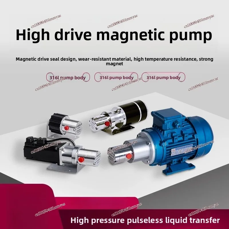 A New Type of Magnetic Drive Gear Pump Small Miniature Stainless Steel Metering Electric Pump