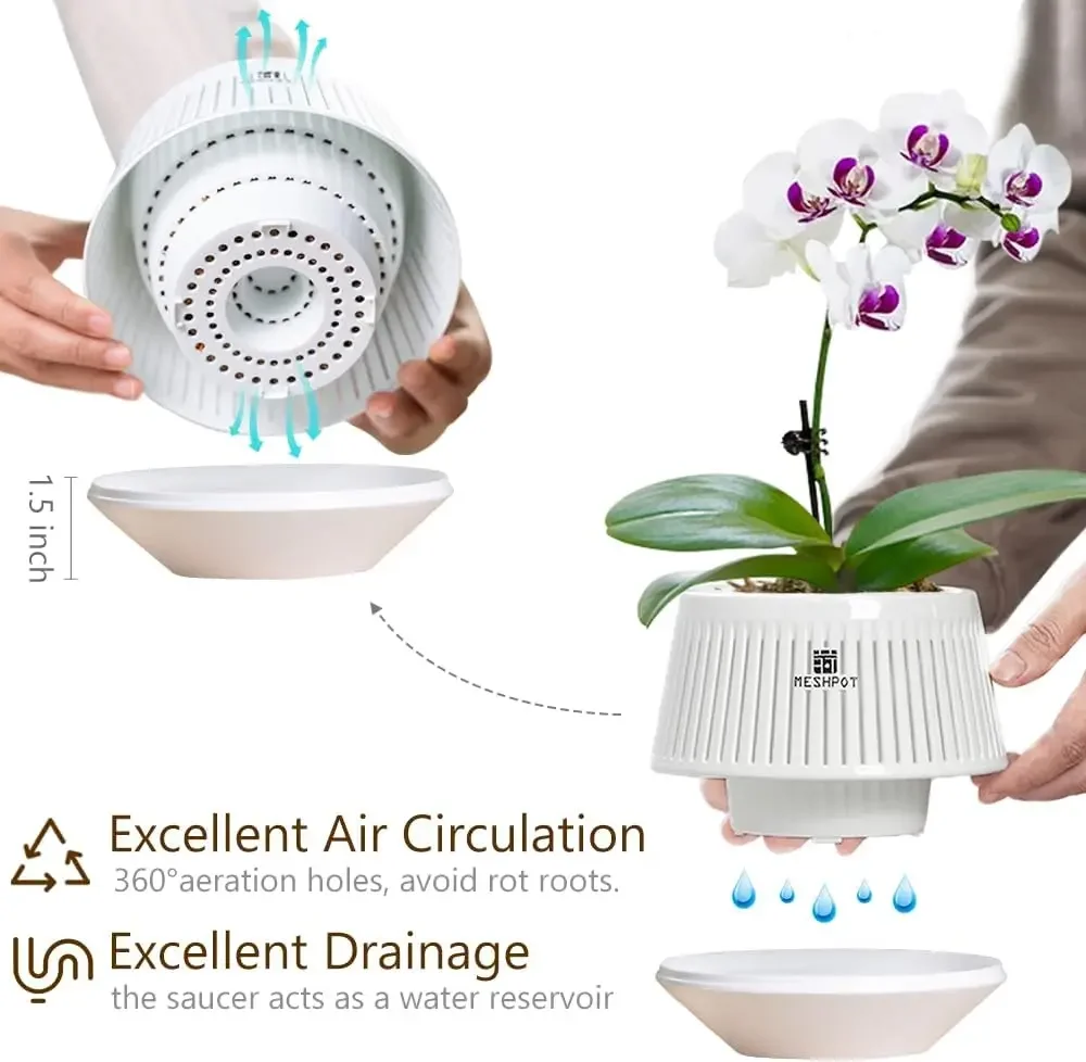 Thumbnail 3 - #42 New Plant Pots Arrivals