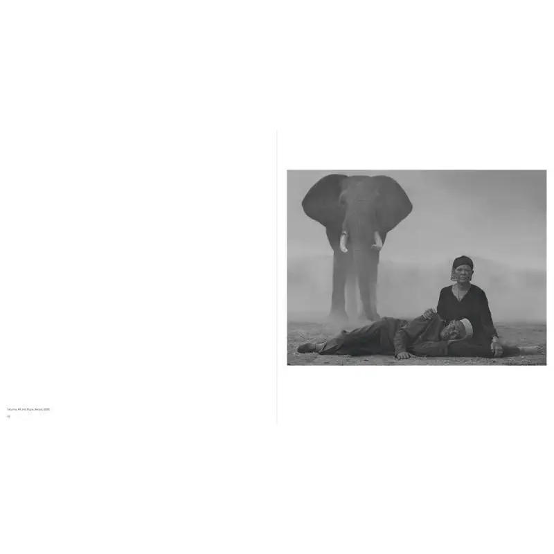 Nick Brandt The Day May Break Nick  Brandt And Nadine Barth Hatje Cantz Verlag 9783775750899 Book