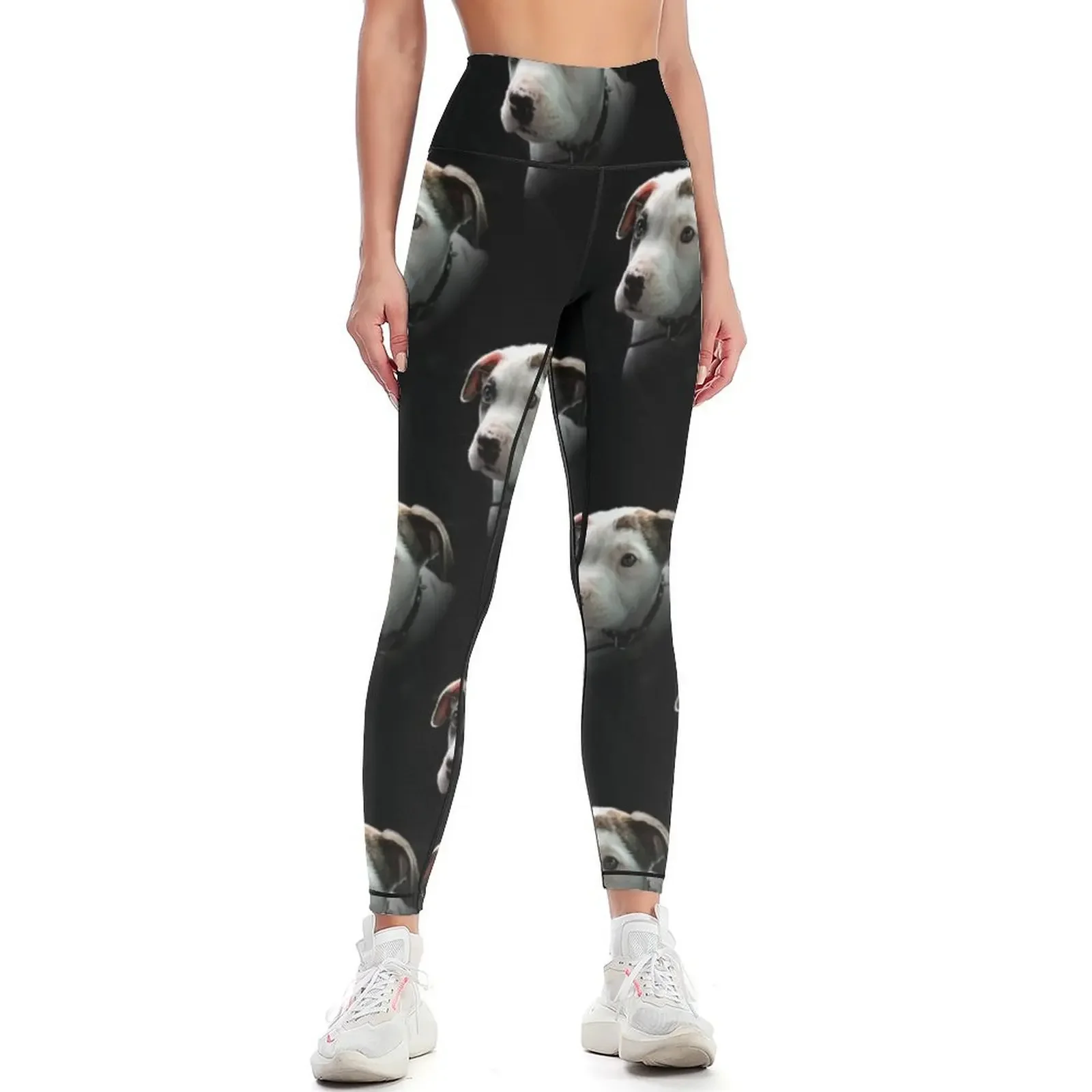 

Pit Bull T-Bone Puppy Leggings gym top legings for fitness harem pants push up fitness Womens Leggings