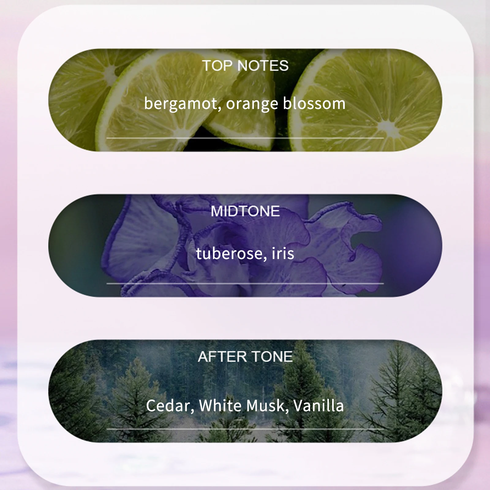 オードパルファム スプレー ナチュラル フレグランス パルファム 持続性と魅力的な個人用香水 女性と女の子用 50ML