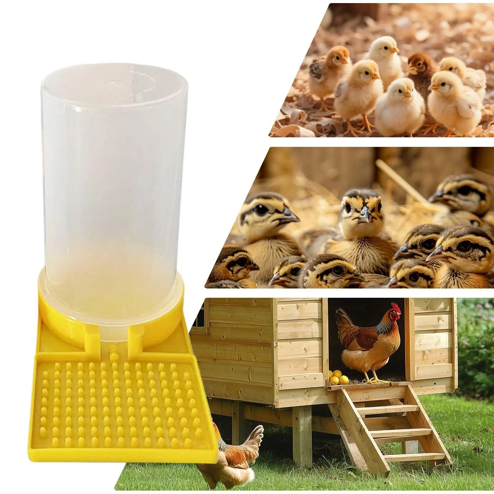 Geflügelfutter- und Wasserspender, Auslaufsicher, Große Kapazität, Transparenter Futter- und Wasserbehälter für Küken, Wachteln und Bienen – Detail 8