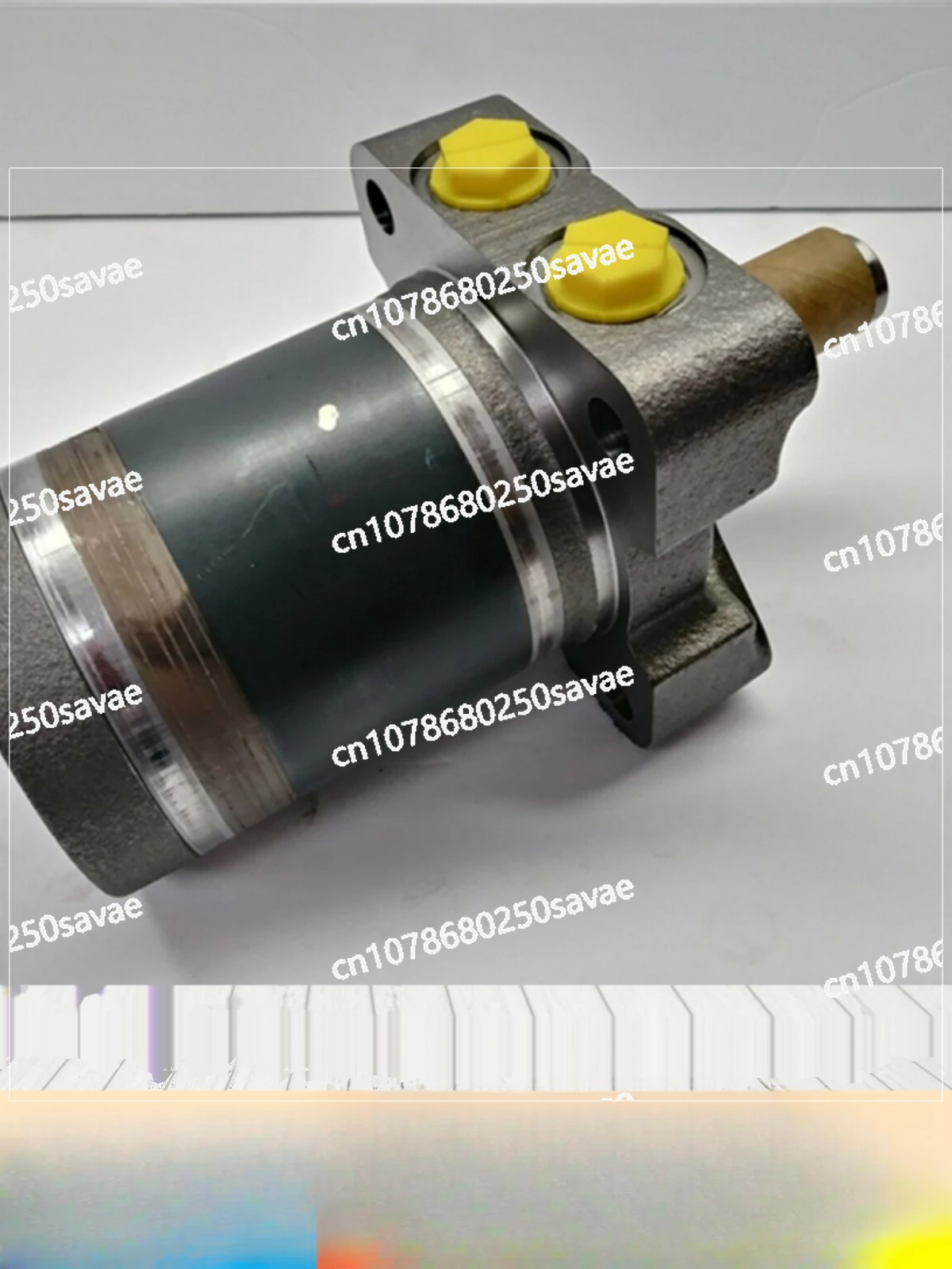 Hydraulic Pump Head Oil Motor, Cycloid, TE.TJ, Quantitative Motor, TE0230AP10AAAA