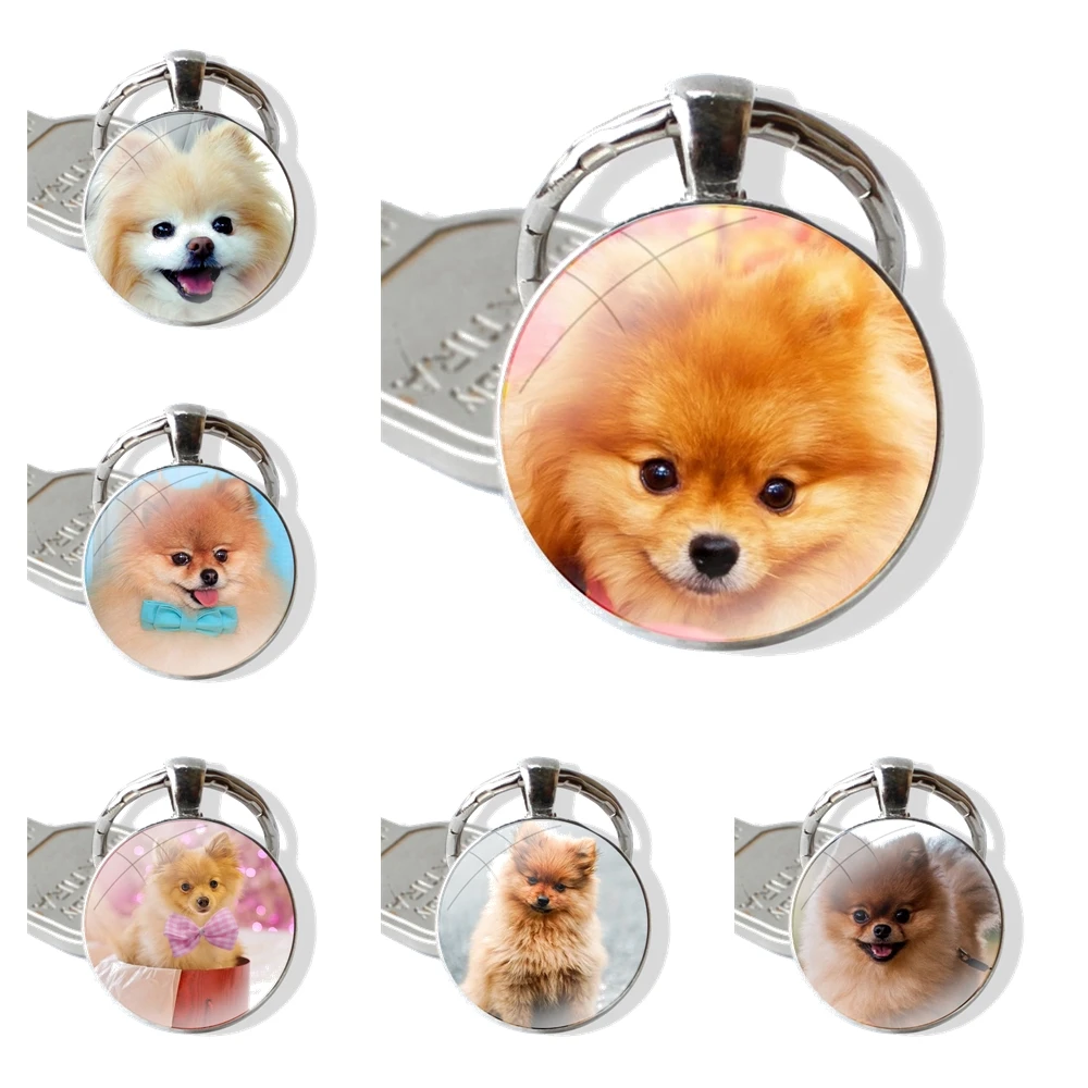 Accessories Phone Cases Covers glass cabochon keychain Car key chain Charms keychains Gifts Pomeranian dogs