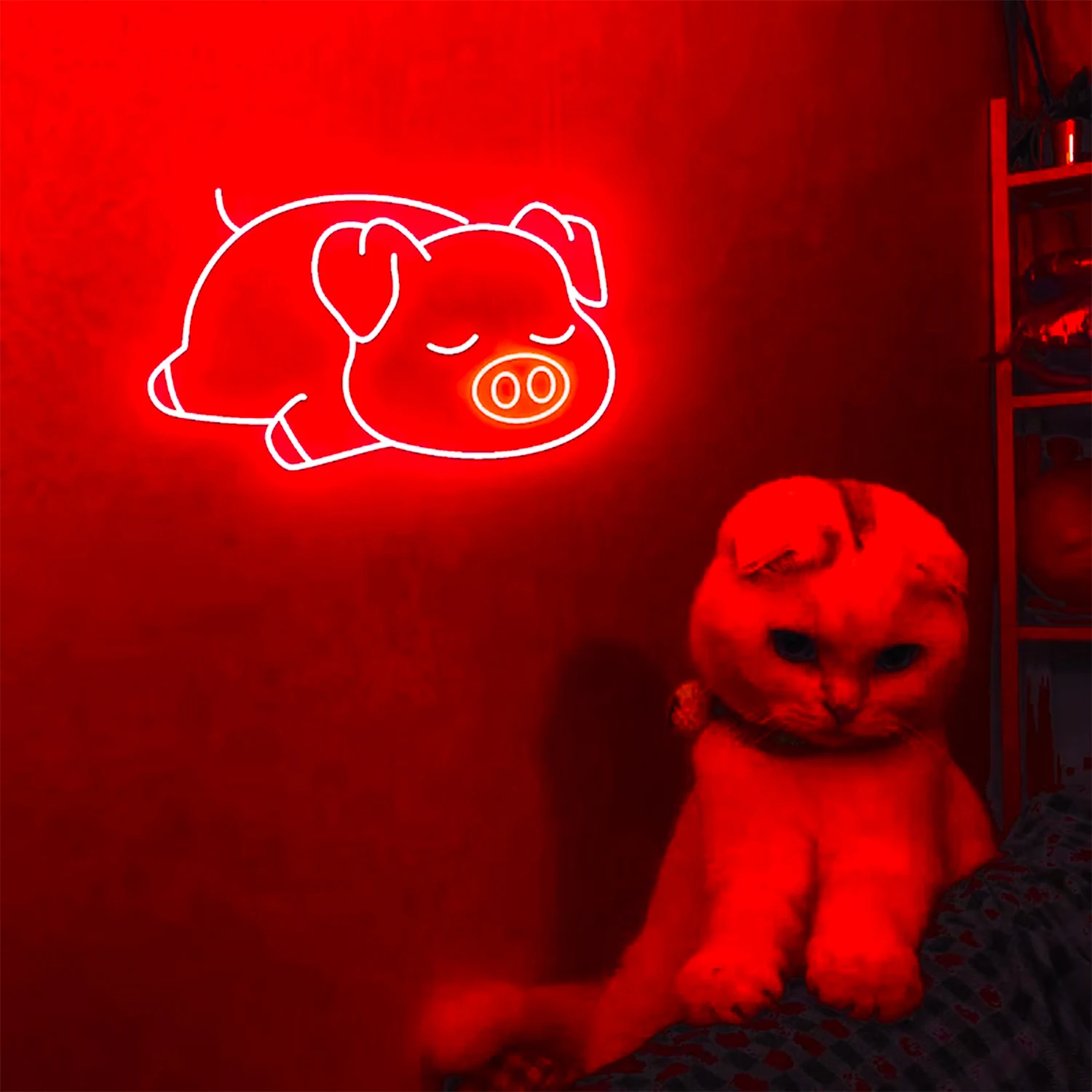 

Sleeping Pig Led Neon Signs Children's Bedroom Boys Girls Men Ladies Cave Games Room Cute Wall Decoration Illuminated USB Lamp