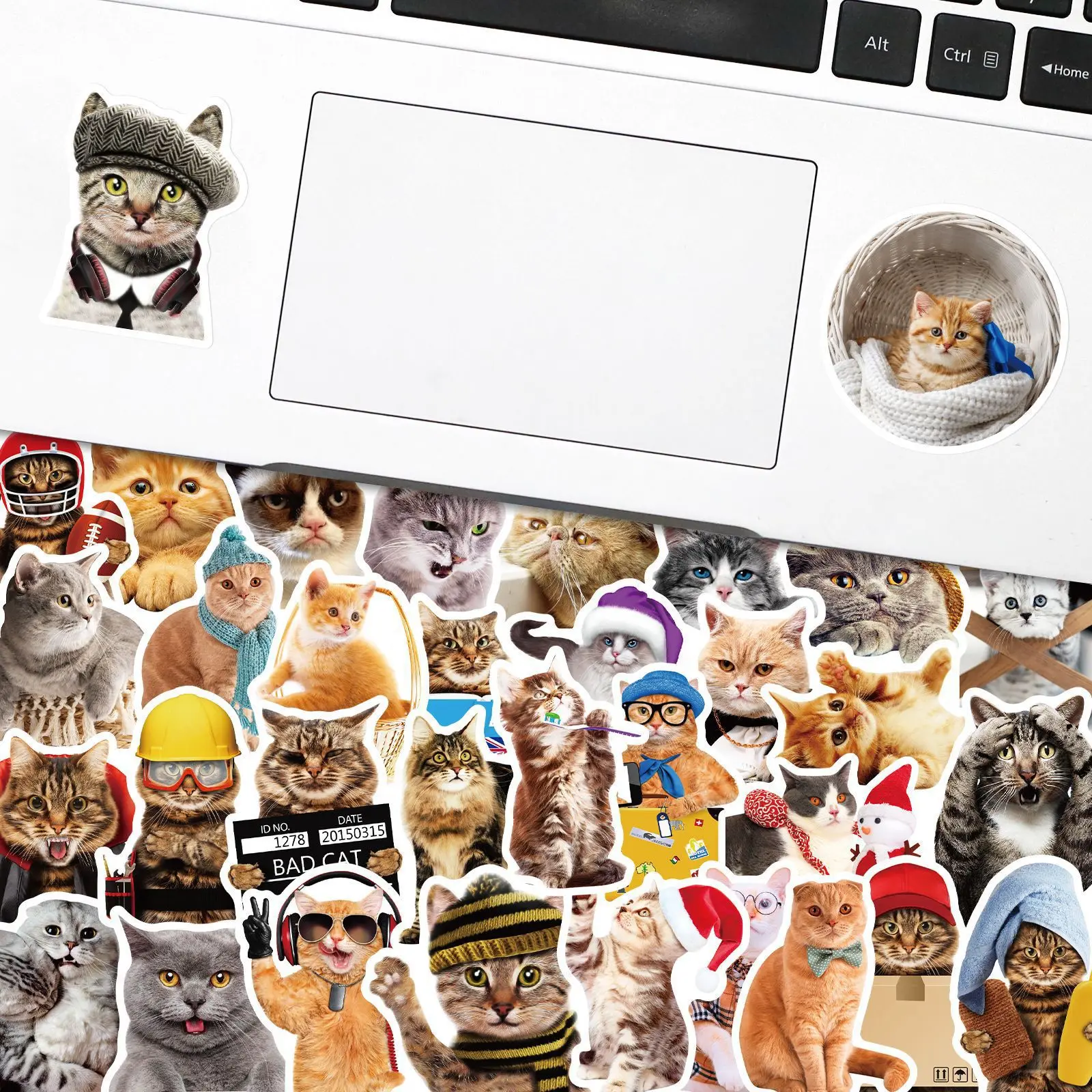 10/30/50PCS Cartoon Realistic Cat Sticker Animal Graffiti iPad Desk Notebook Computer Pattern Scrapbook Toy Decoration Wholesale