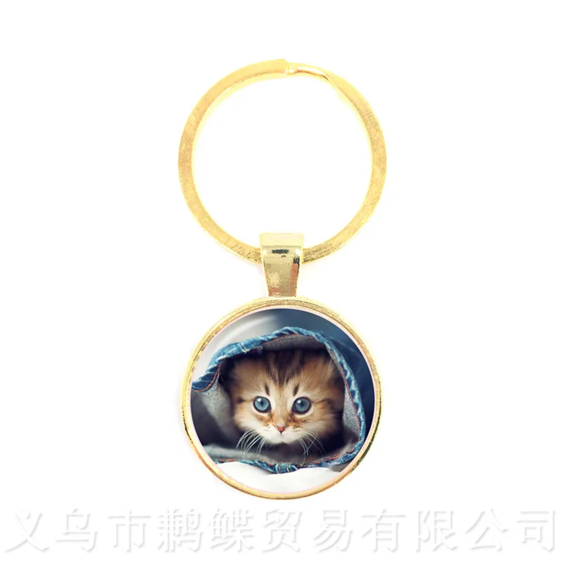 Fortune Cat Keychains 25mm Round Glass Dome Cat Pattern Series Keyring Cat Lover Creative Gift Can Customize Your Beloved Pet