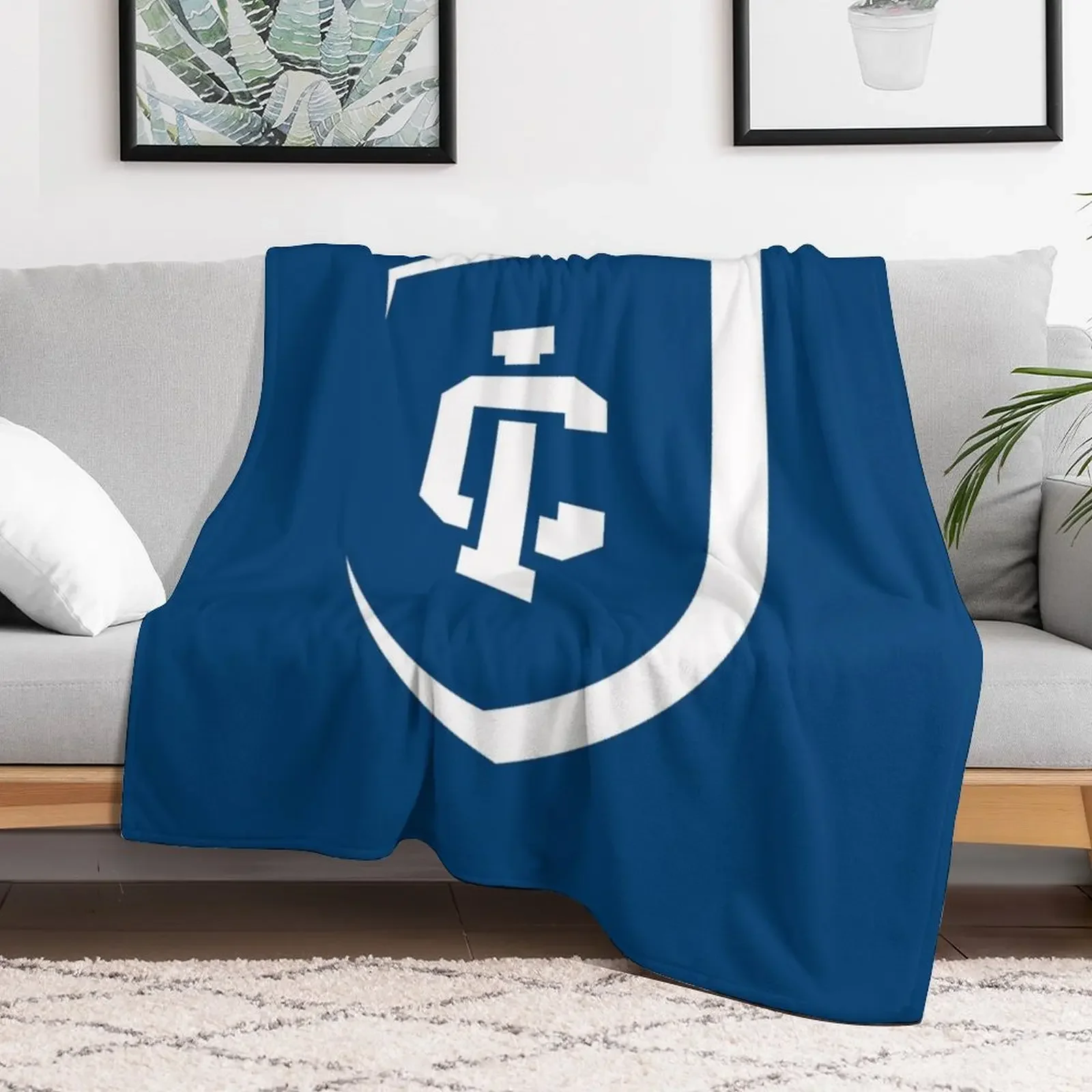 Ithaca College Throw Blanket Blankets For Bed Luxury Thicken Blankets