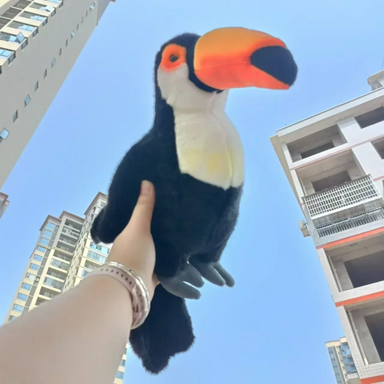 Zoo 45cm Simulation Lifelike Toucan Plush Toys Soft Toco bird Stuffed Animal Carnival props doll Kids baby Christmas Gifts