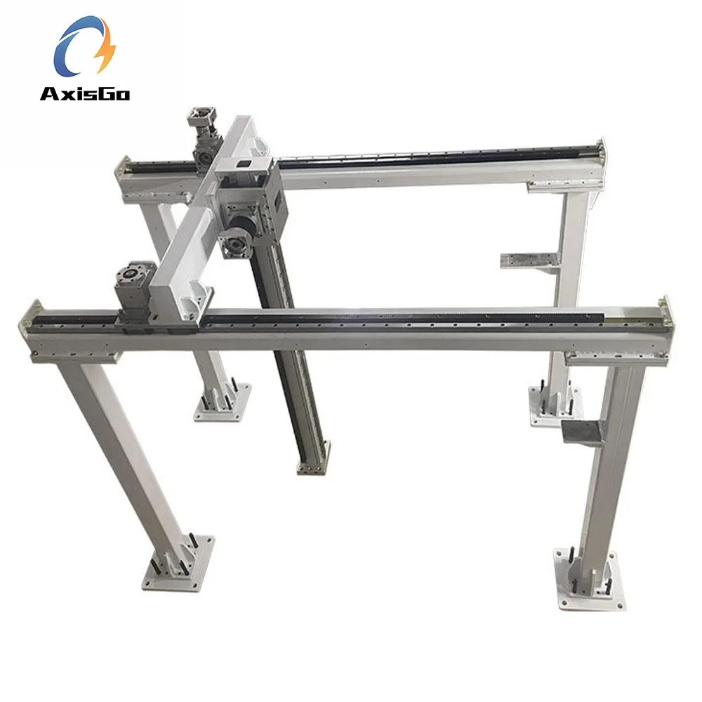 Heavy Duty 3 Axis Gantry Robot Rack and Pinion Linear Motion Cross Slide Module for Palletizer Automation