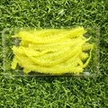 GD55 30pcs 09