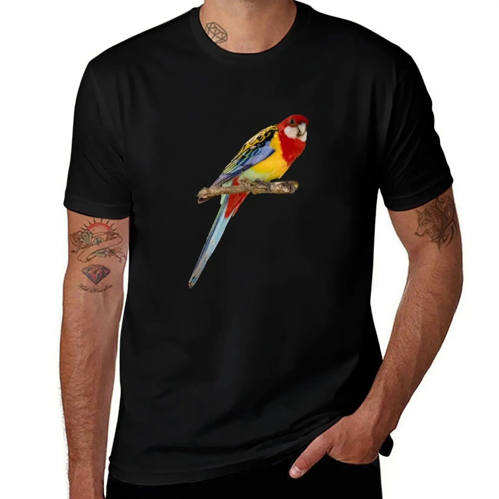 Australian birds - Eastern Rosella T-Shirt man t shirt graphic men t shirt cotton 100% T-Shirt