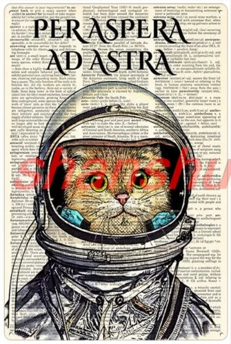 shui Retro Metal Tin Sign 8 X 12 Inches Per Aspera Ad Astra Cat Spaceman Poster Mo... 1pc