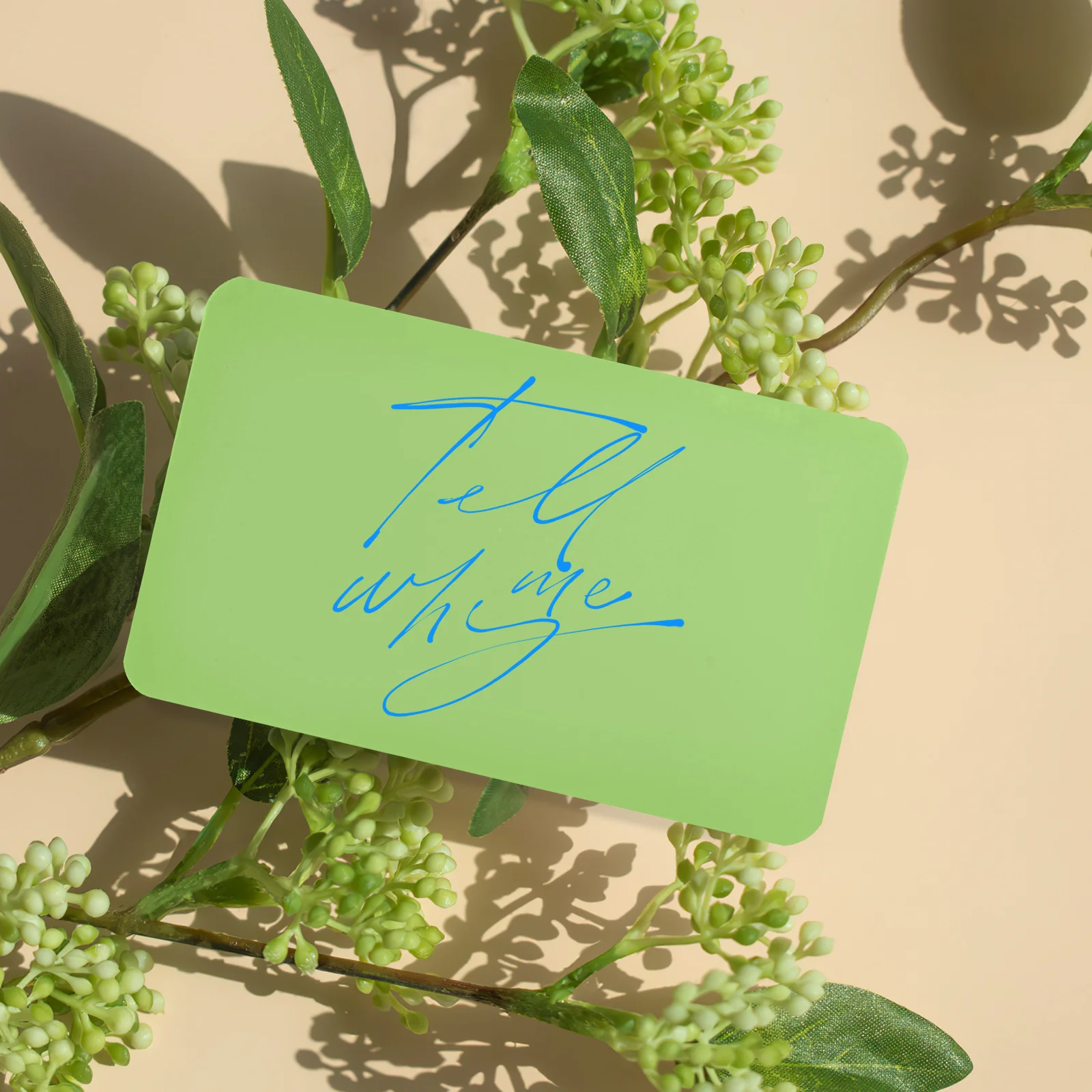 4 Boxes Colored Blank Kraft Paper Cards Thick Smooth Business Gift Index Cards for Learning Flash Memory Notes DIY