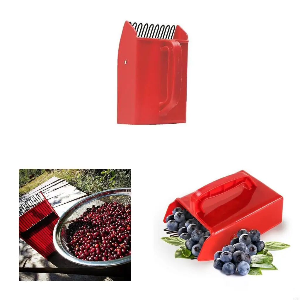 37ME 2Piece Berries Pickers Tool with Comb Front Teeth, Integrated Handle Scoops Blueberry Harvesting Tool for Home Backyard