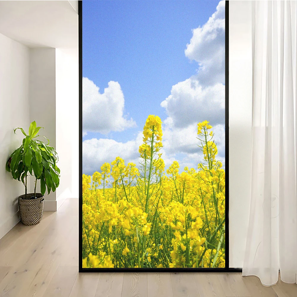 Window Film Privacy Canola Flower Non Adhesive Glass Sticker Heat Control  Window Coverings Window Tint for Homedecor