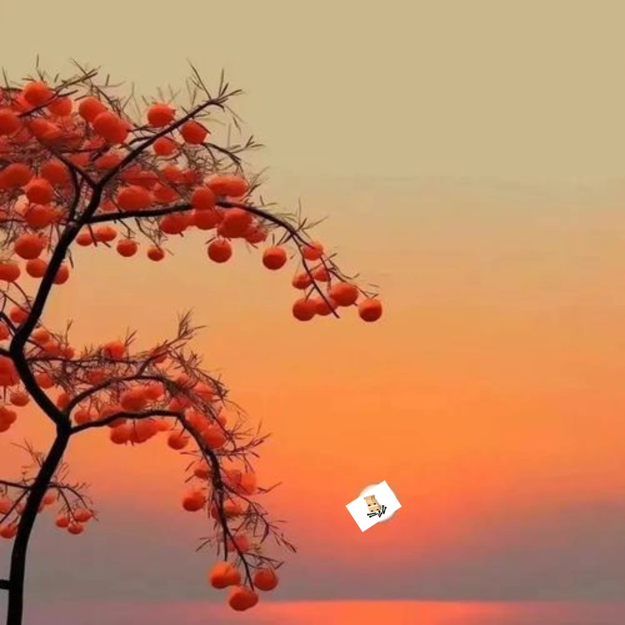 

Латунная крышка коробки передач GPM спереди и сзади для AXIAL SCX24 Deadbolt Jeep Wrangler AX24, обновленная часть