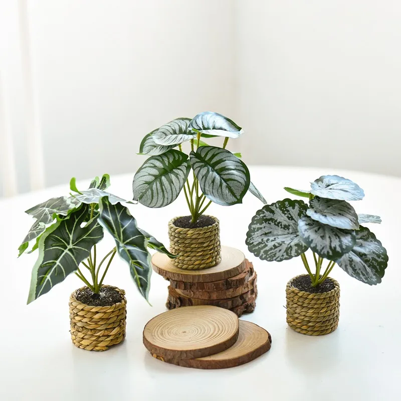 

Simulation Potted Plant Plastic Big Leaf Potted Plant Scene Arrangement Plastic Ornament Photography Bouquet Flower Pot
