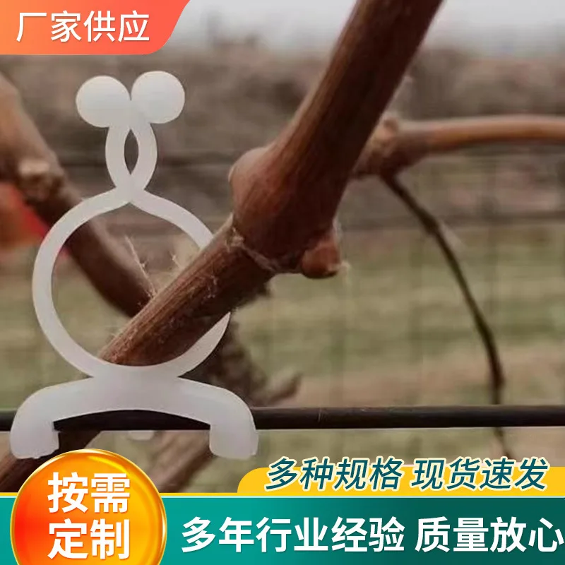 Fixed Grape Free Removal Positioning Fixed Branch Buckle Fruit Vegetable Vine Cable Tie Fast Delivery