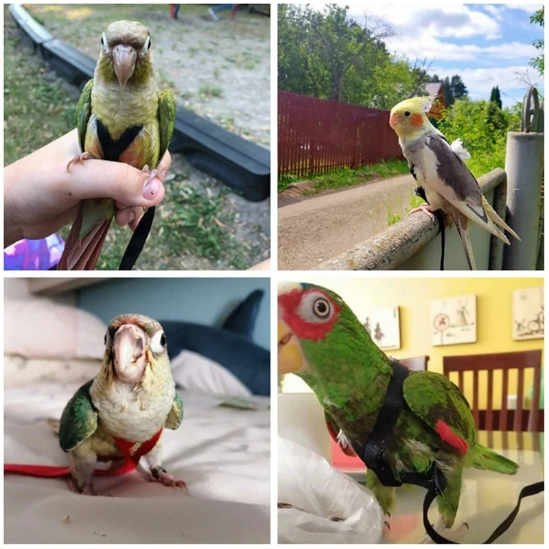 4 Colors Parrot Harness 1.2m/1.3m Pet Birds Leash Outdoor Flying Traction Straps Band Adjustable Anti-Bite Training Rope