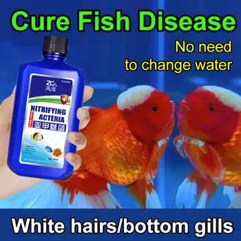 10 best sales Batteri dell'acquario - №5