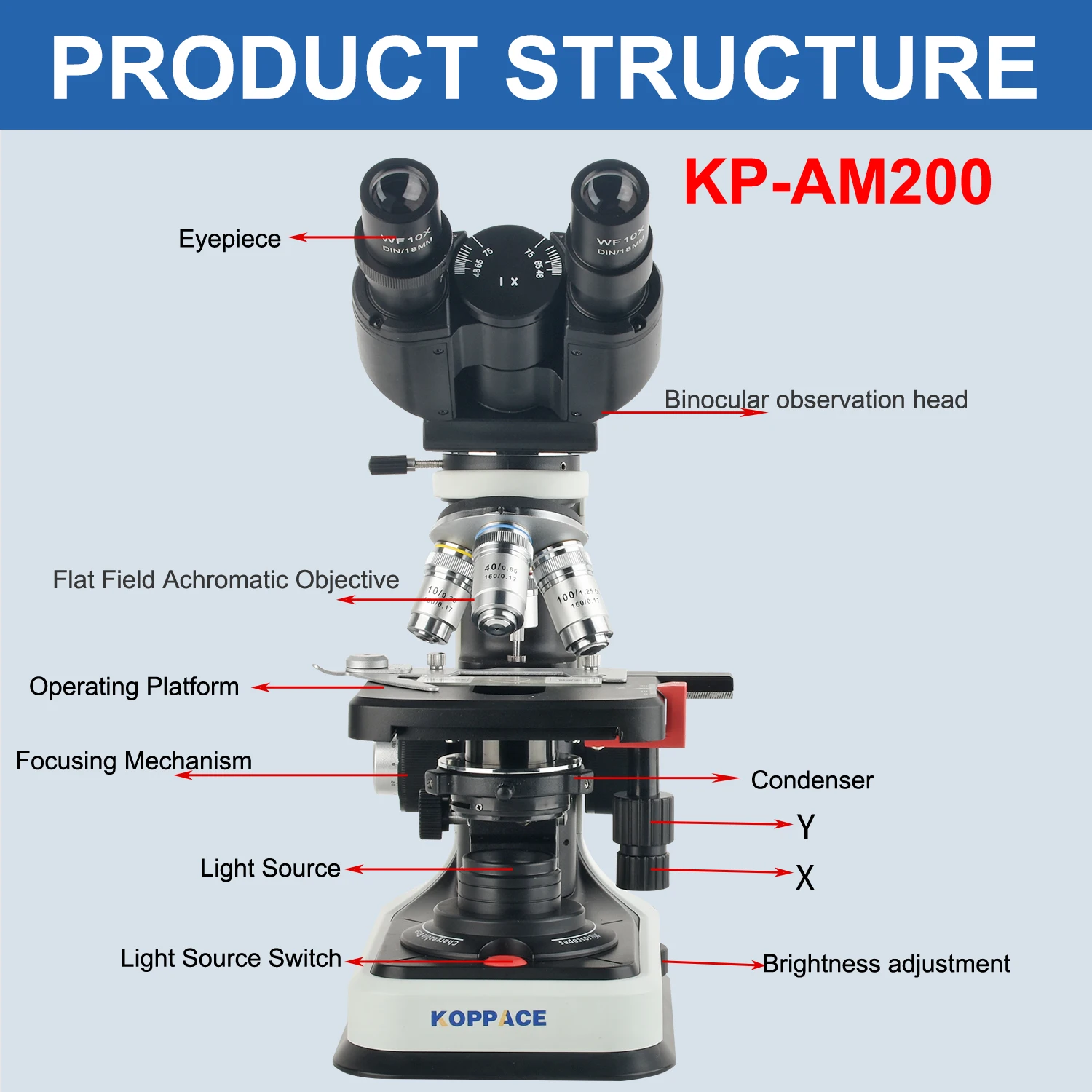 KOPPACE 40X-2500X Binocular Compound Lab Biological Microscope Flat Field Achromatic Objective