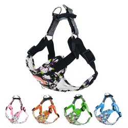 Conjunto de correa de arnés reflectante para perro, Collar ajustable, accesorios para perros pequeños y medianos, chaleco para cachorros, cuerda para Bulldog Francés